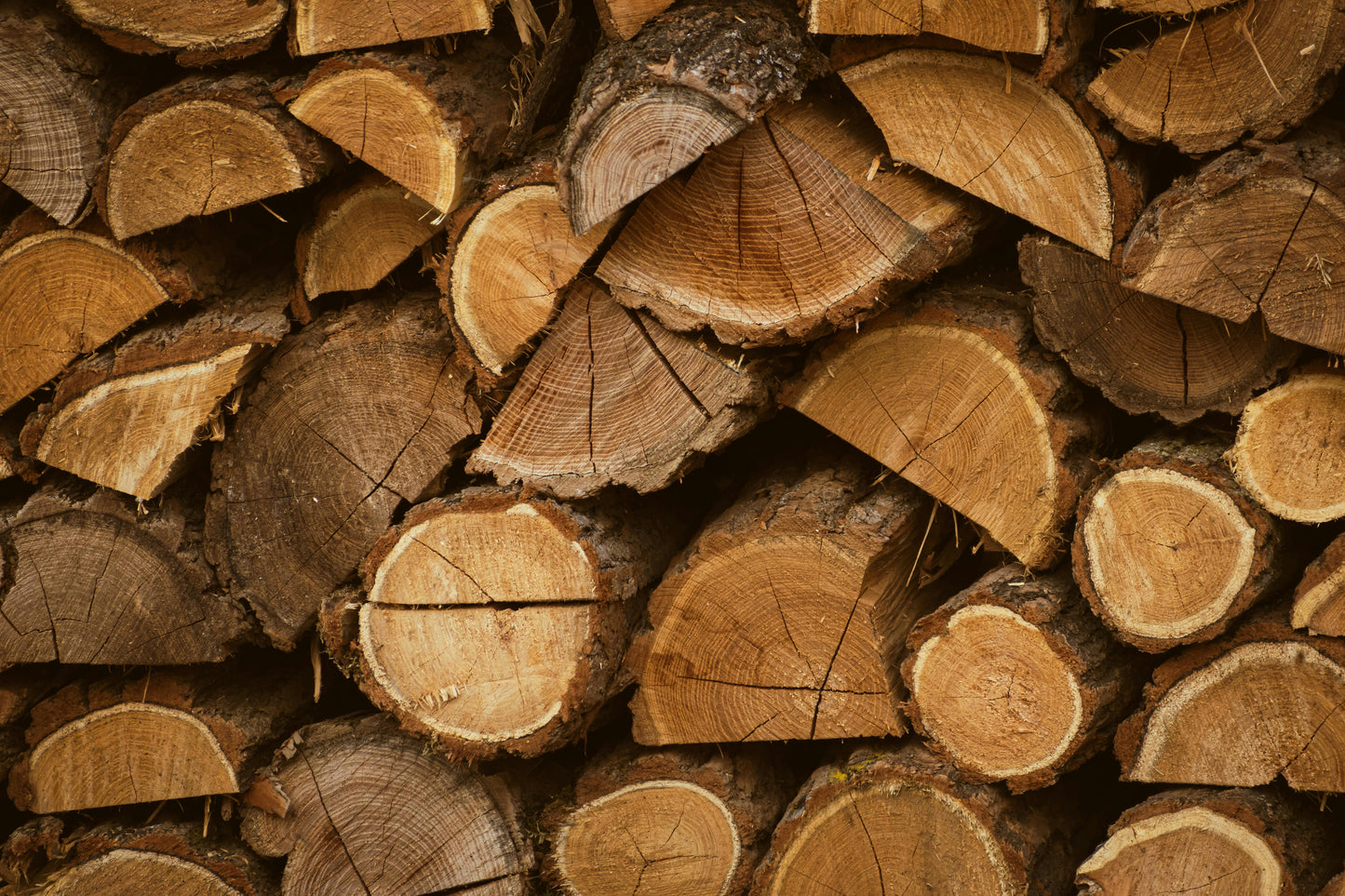 Firewood
