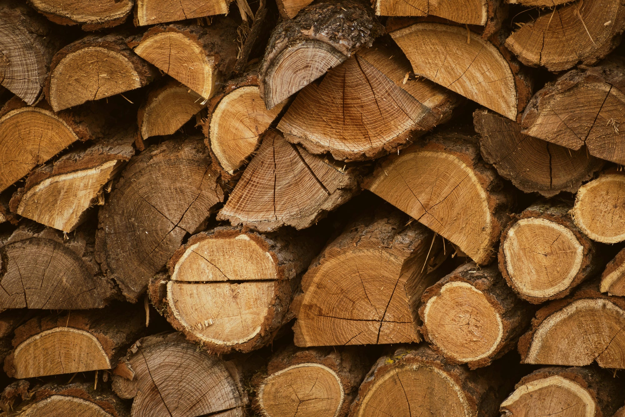 Firewood